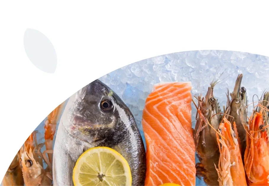 A featured image for this section.