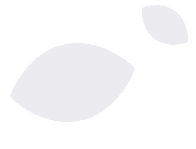 A featured image for this section.