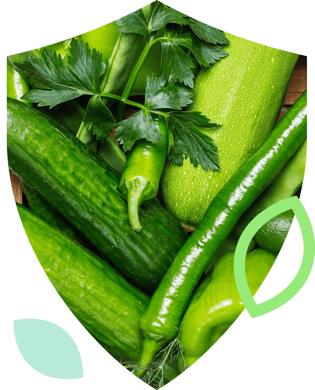 A featured image for this section.