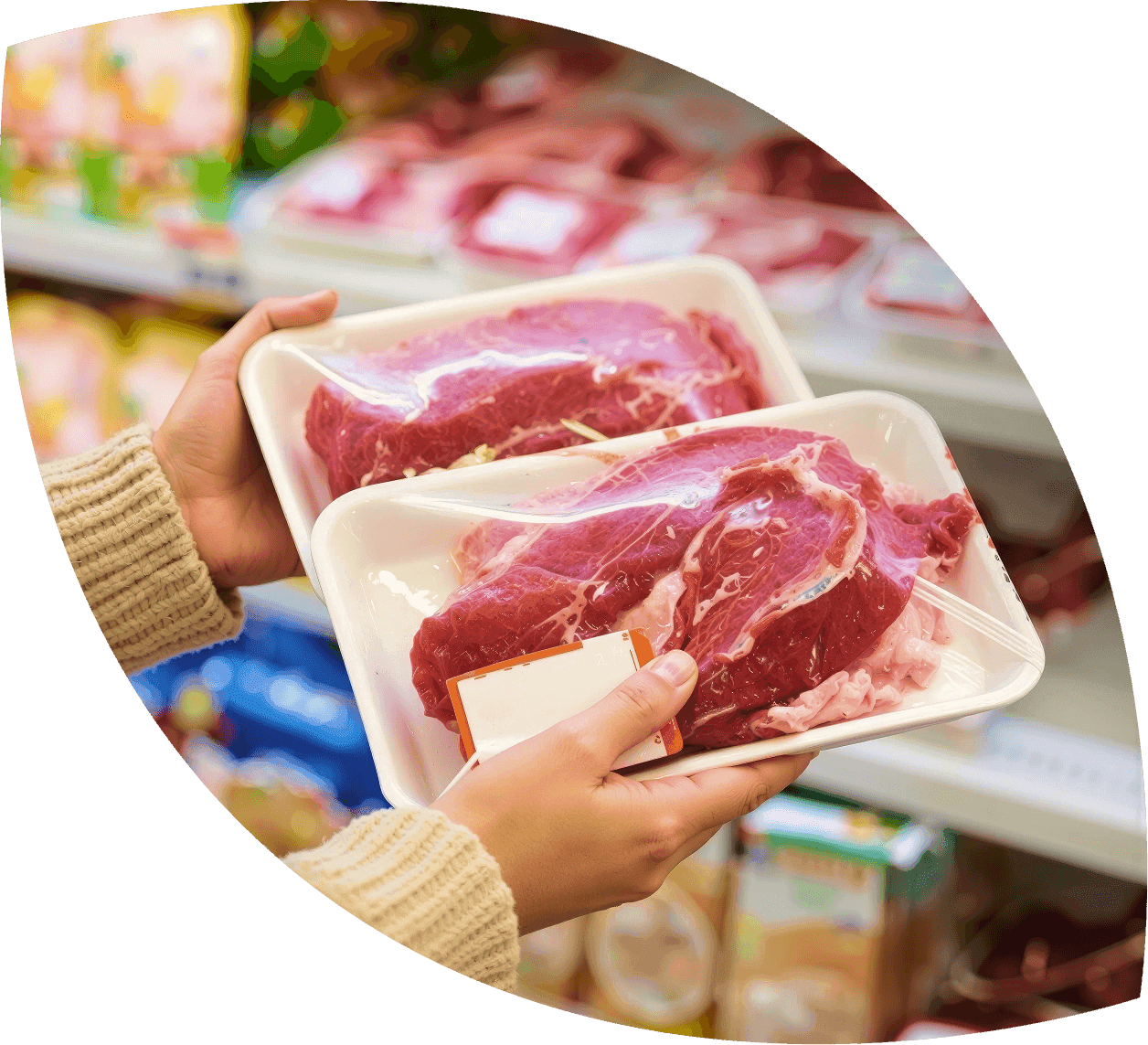 A featured image for this section.