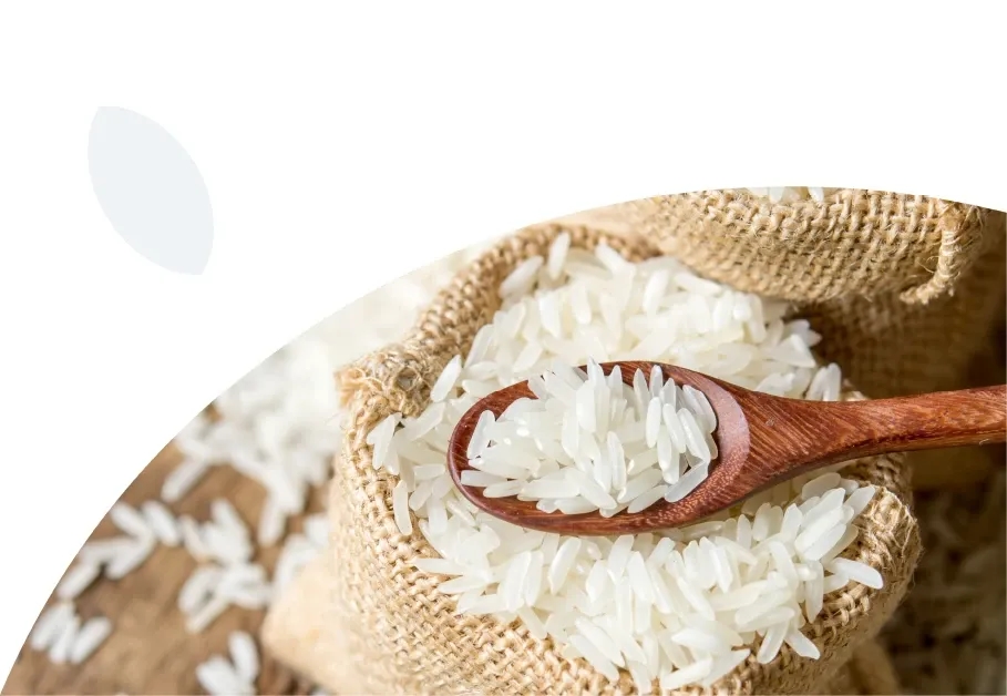 A featured image for this section.