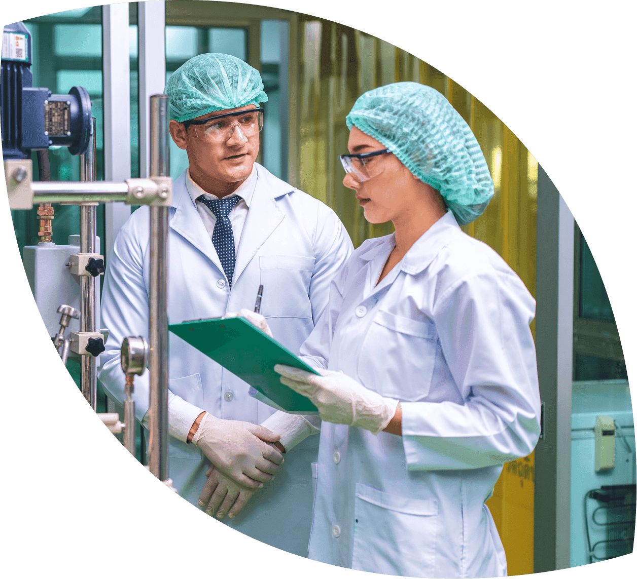 A featured image for this section.